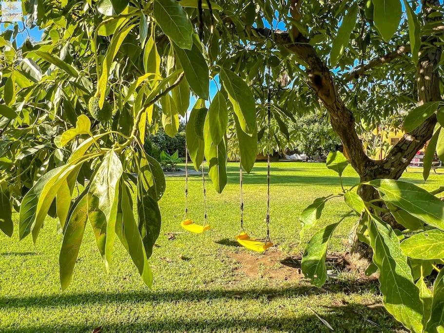 Finca Tierra Sana 埃斯特波纳 外观 照片